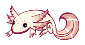 Axolotl Rasquat