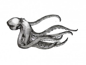 octopus-drawing-tattoo-1244872211