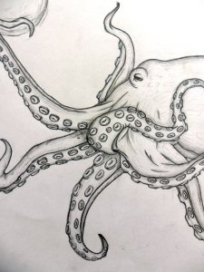 realistic_octopus_by_letmelivelovedraw-d4wdgcr